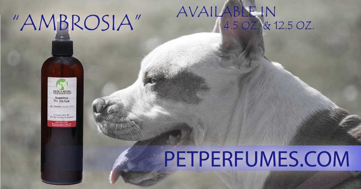 Dog Perfume Ambersia by Bath and Brush Therapies.