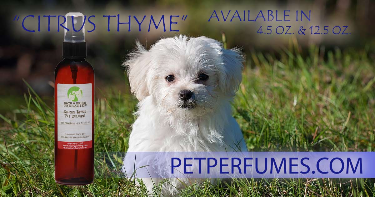 Citrus Thyme Dog Perfume by Bath and Brush Therapies in 4.5 Ounce Size